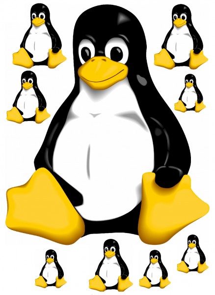 Maxi-Sticker - Tux Pinguin A4